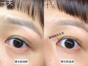 XLASH 睫毛魔幻賦活精華液 第一天VS第七天