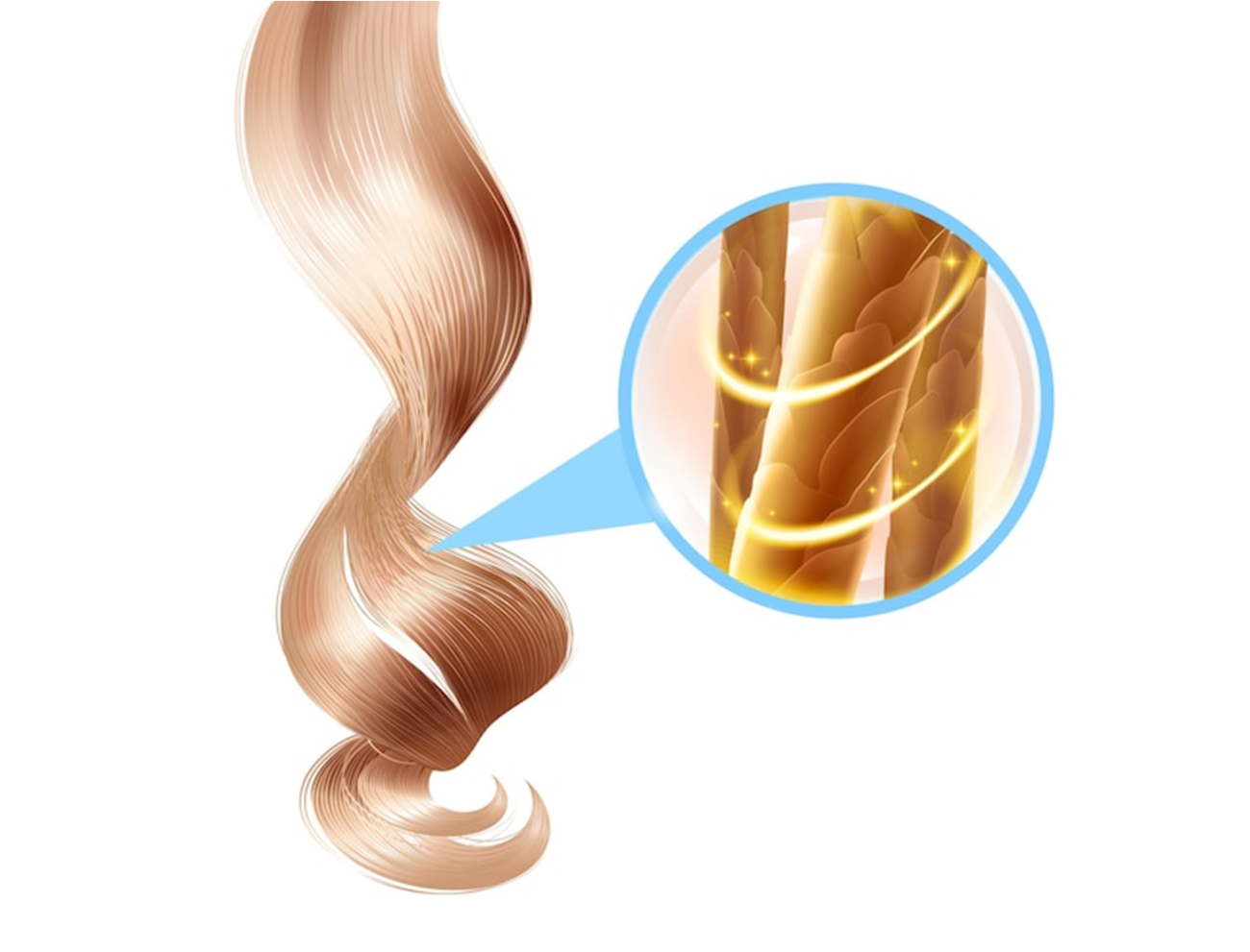 角蛋白護髮示意圖