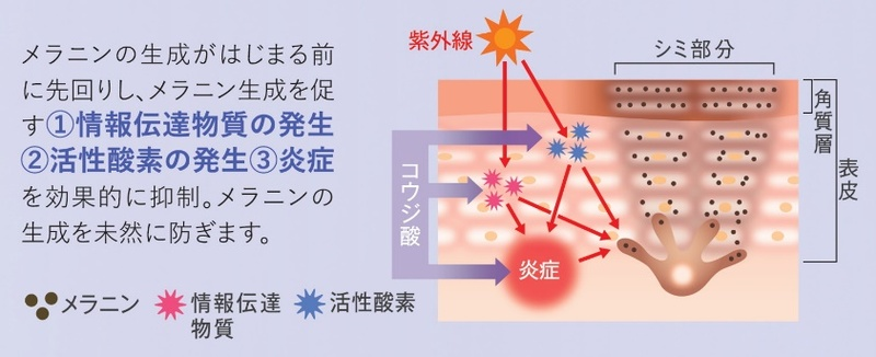 麴酸的美白效用