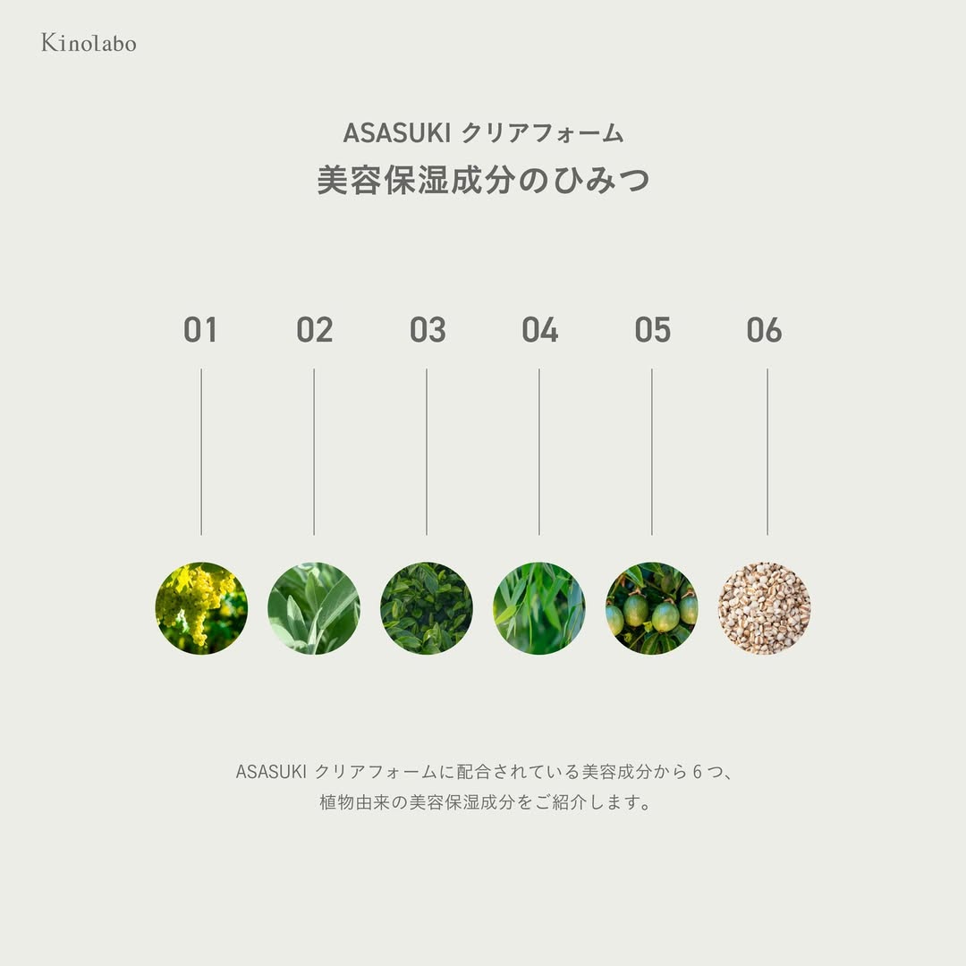 Kinolabo ASASUKI 淨透碳酸泡洗顏 美容成分