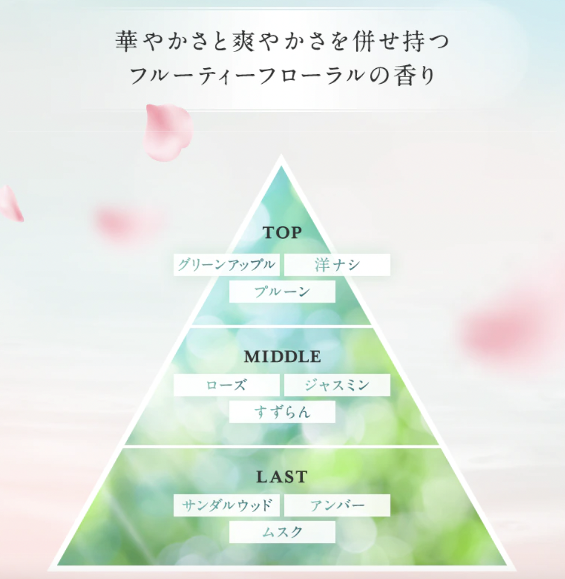 cola・rich soar 香調變化