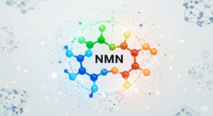 NMN介紹