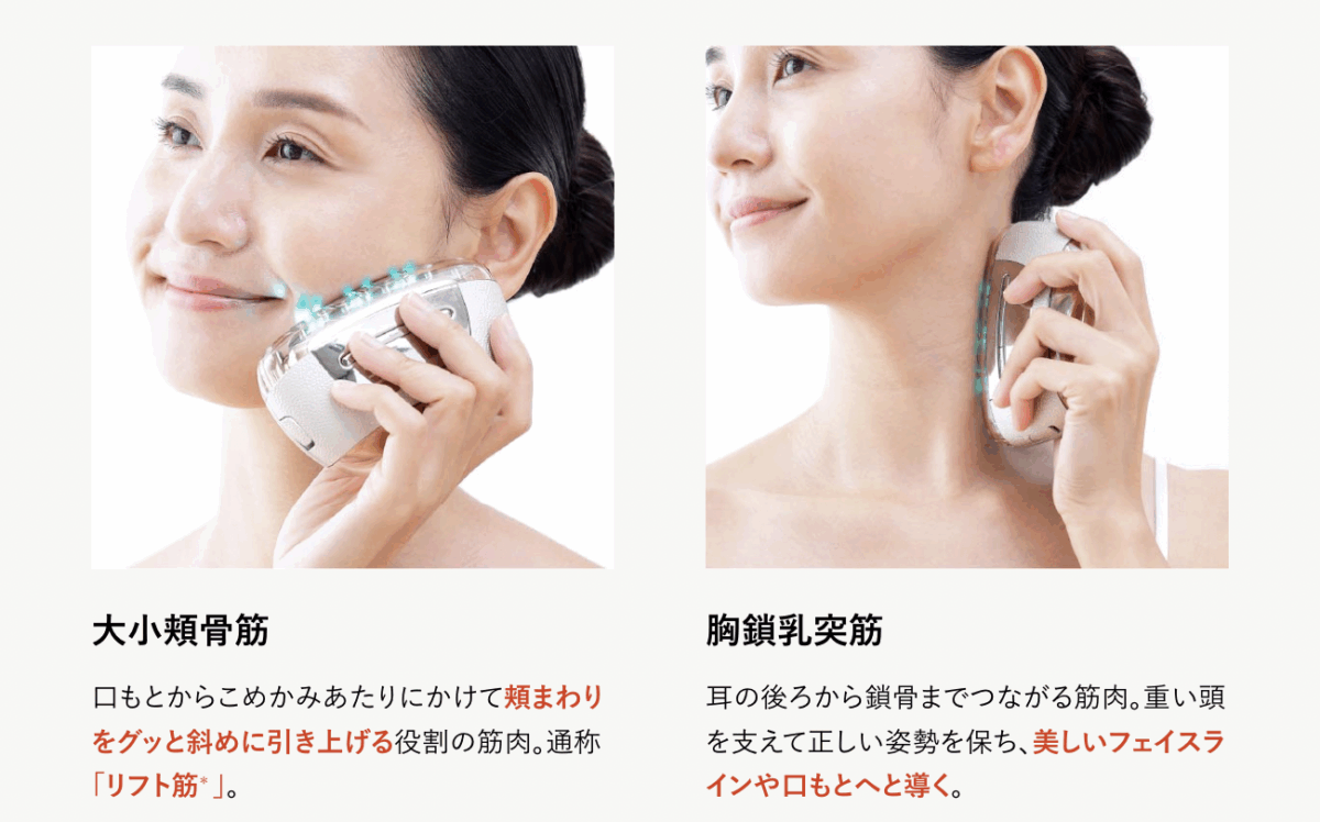 Liftlogy SP 使用方式