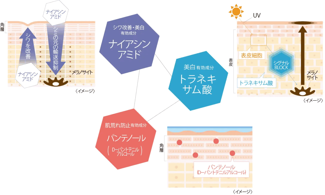 DERMAAID 的三大有效成分
