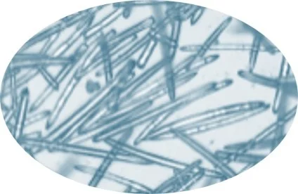 fractional CC 美容針顯微圖