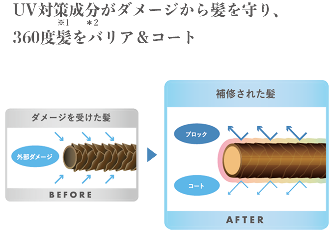 SOLA WEATHER CARE 守護頭髮