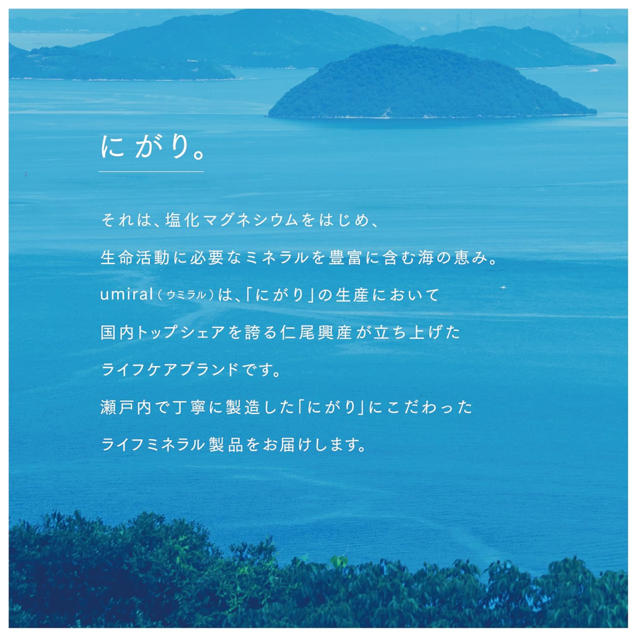 日本品牌 umiral 主成分 鹽滷