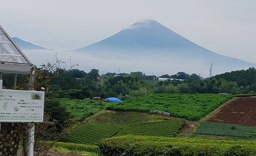 Be的靜岡縣藥草農場