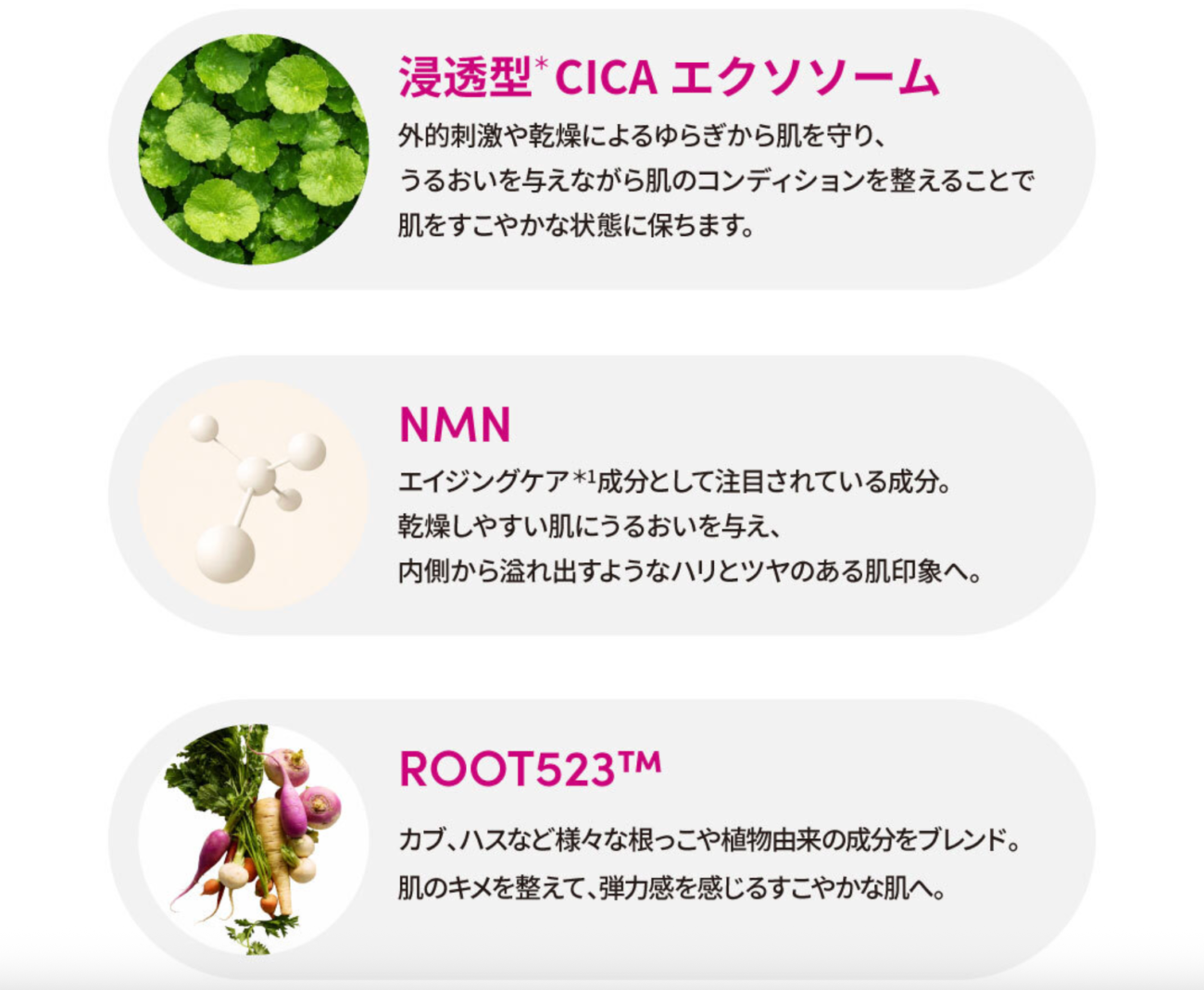 日本 ROOT BARRIER 護膚系列 成分介紹